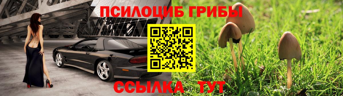 Чита  где можно купить   Вход с VPN  Псилоцибиновые грибы Magic Shrooms 