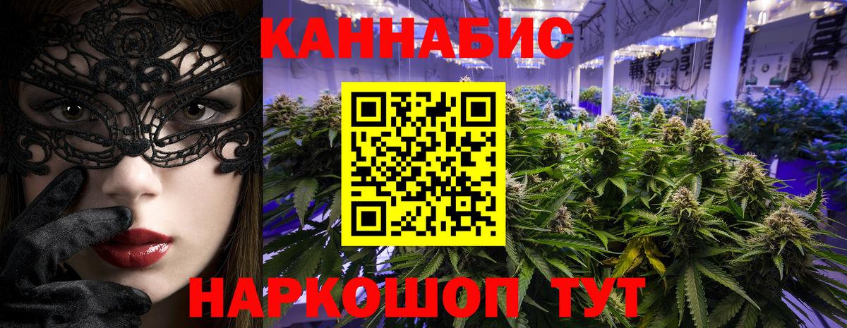 Марихуана сатива Чита